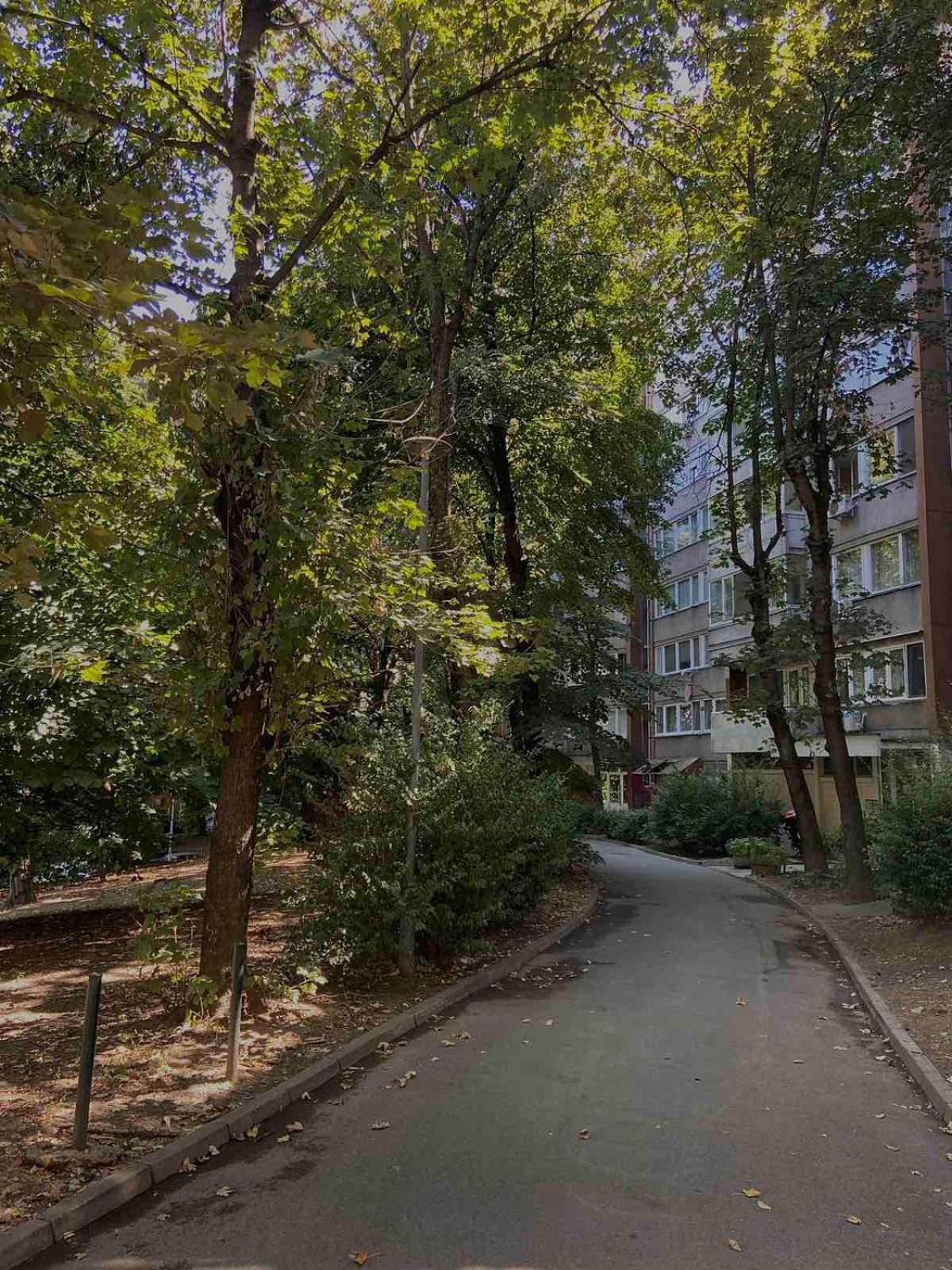Bella Vista Belgrade